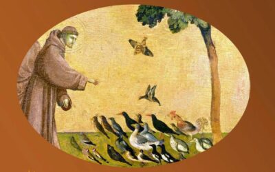 Célébrer l&rsquo;année Saint François d&rsquo;Assise