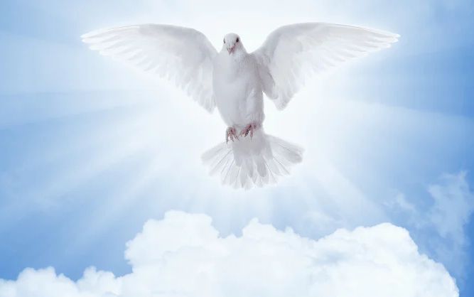 En chemin vers la Pentecôte…